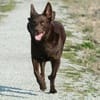 Omer Eren avatar